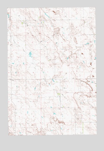 Webster, MT USGS Topographic Map