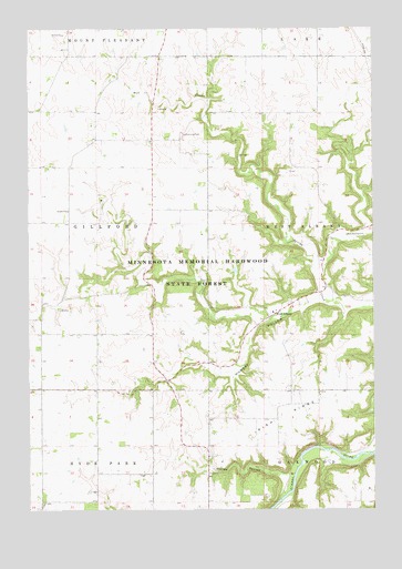West Albany, MN USGS Topographic Map