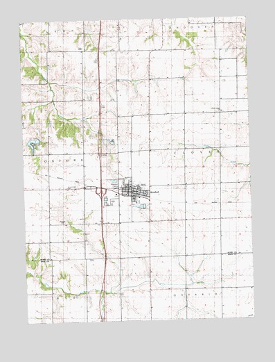 Woodhull, IL USGS Topographic Map