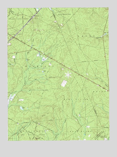 Woodmansie, NJ USGS Topographic Map
