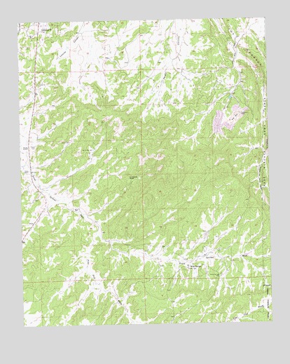 Bread Springs, NM USGS Topographic Map