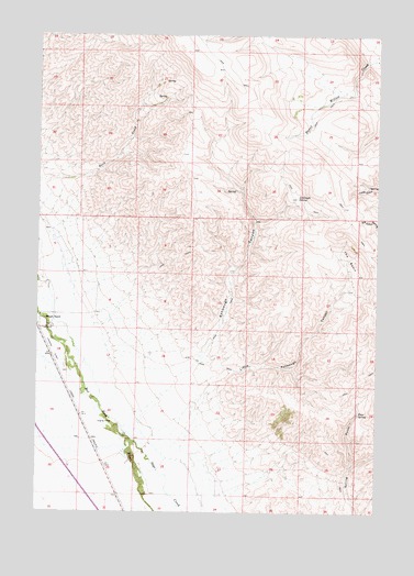 Briggs Ranch, MT USGS Topographic Map