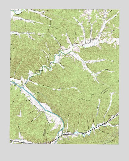 Bucksnort, TN USGS Topographic Map