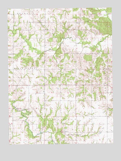 Burksville, MO USGS Topographic Map