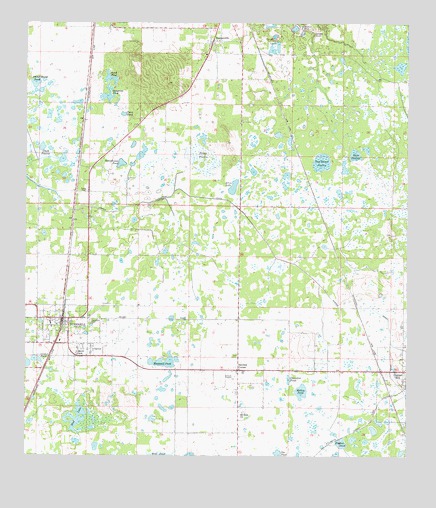 Bushnell, FL USGS Topographic Map