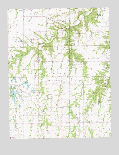 Bellflower South, MO USGS Topographic Map