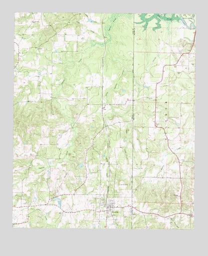 Bloomburg, TX USGS Topographic Map