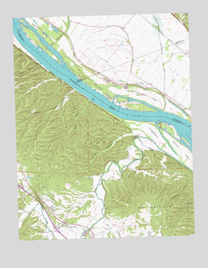 Bloomsdale, MO USGS Topographic Map