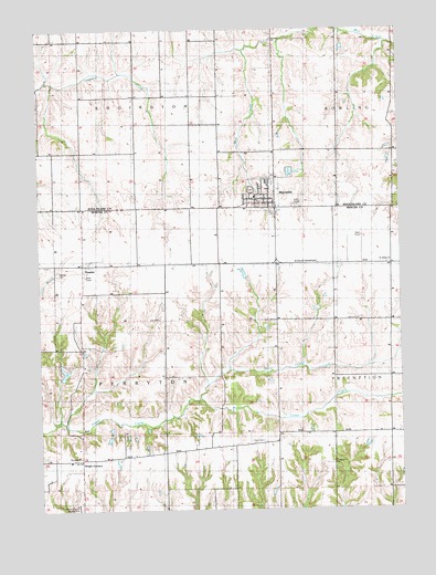 Reynolds, IL USGS Topographic Map