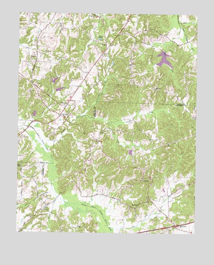 Cedar Grove, TN USGS Topographic Map