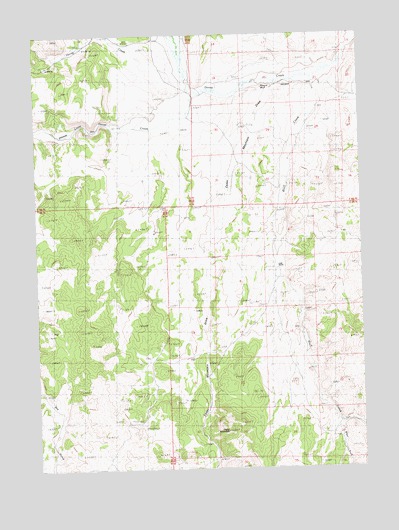 Cedar Mountain Draw, NV USGS Topographic Map