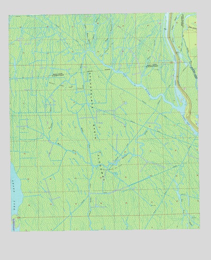 Centerville NE, LA USGS Topographic Map