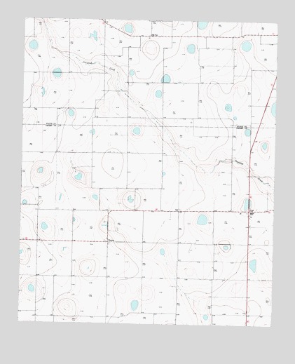 Cone, TX USGS Topographic Map
