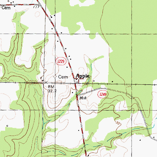 Topographic Map of Appie, NC