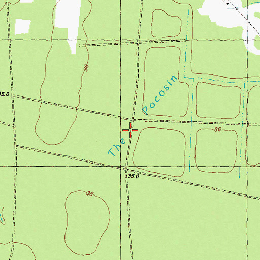 Topographic Map of The Pocosin, NC