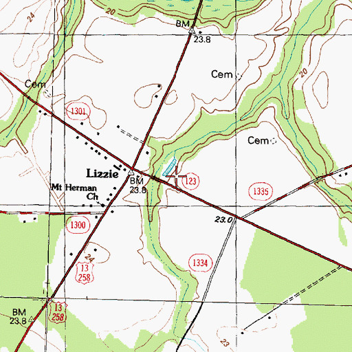 Topographic Map of Lizzie, NC
