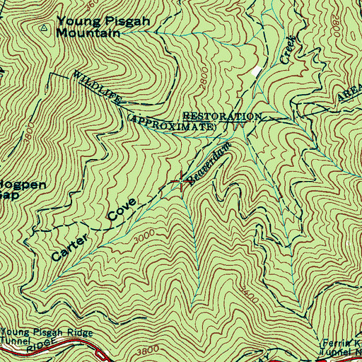 Topographic Map of Carter Cove, NC