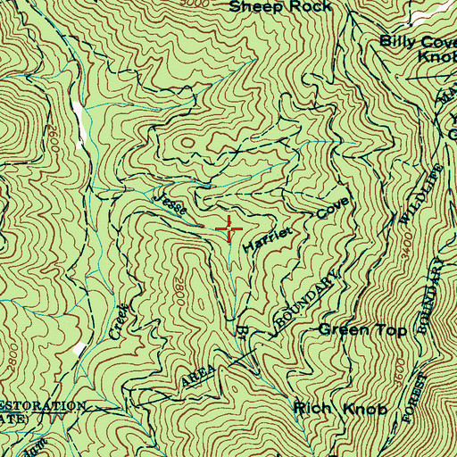 Topographic Map of Harriet Cove, NC