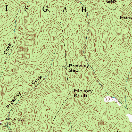 Topographic Map of Pressley Gap, NC