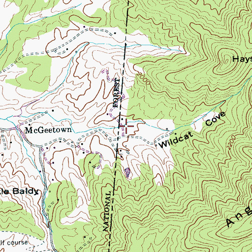Topographic Map of Wildcat Cove, NC