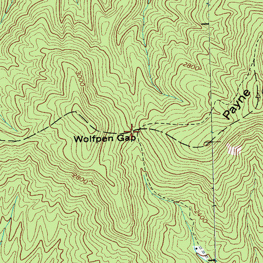 Topographic Map of Wolfpen Gap, NC