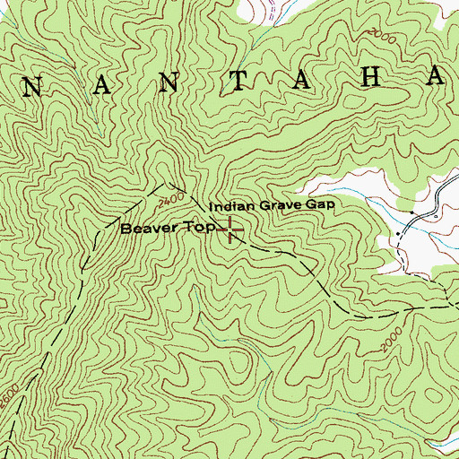 Topographic Map of Beaver Top, NC