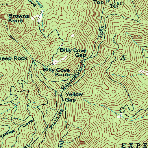 Topographic Map of Billy Cove Knob, NC