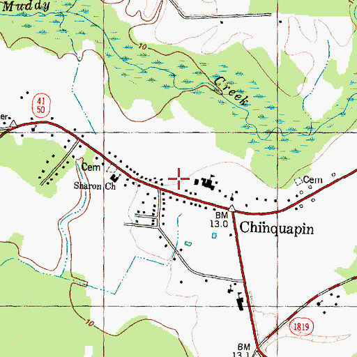 Topographic Map of Chinquapin, NC