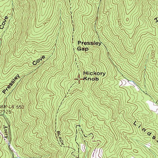 Topographic Map of Hickory Knob, NC