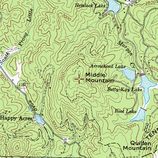 Topographic Map of Middle Mountain, NC