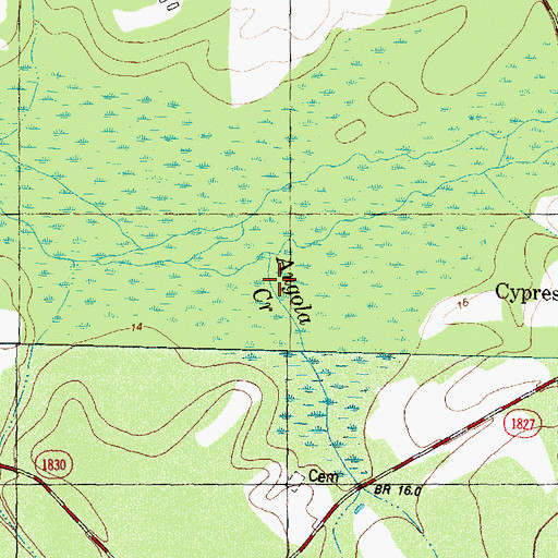 Topographic Map of Back Swamp, NC