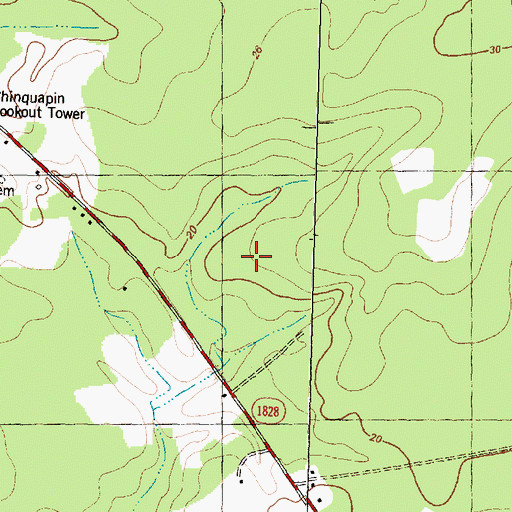 Topographic Map of Laniers Chapel, NC