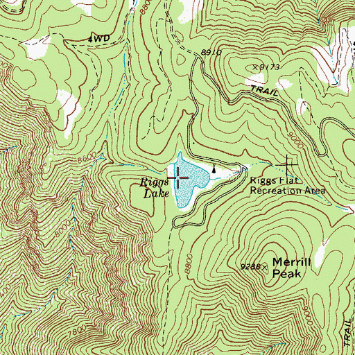 Topographic Map of Riggs Lake, AZ