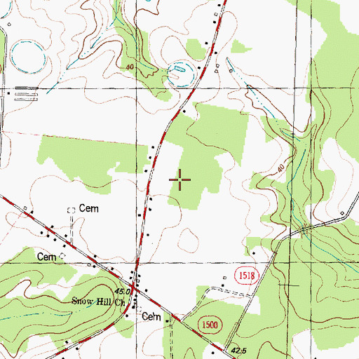 Topographic Map of Township of Glisson, NC
