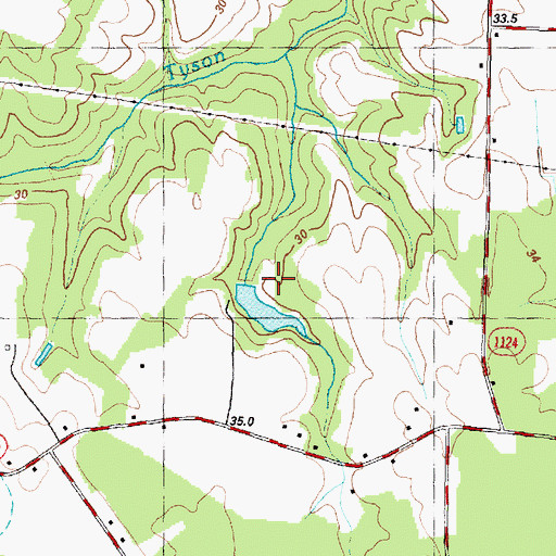 Topographic Map of Township of Jason, NC