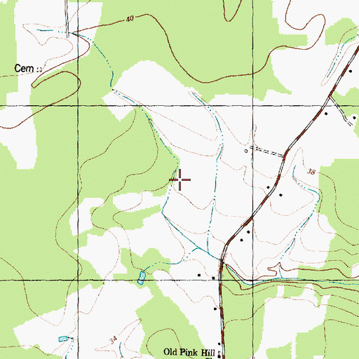 Topographic Map of Township of Pink Hill, NC