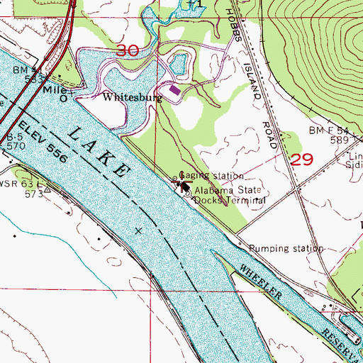 Topographic Map of Alabama State Docks Terminal, AL