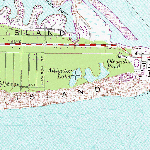 Topographic Map of Alligator Lake, AL