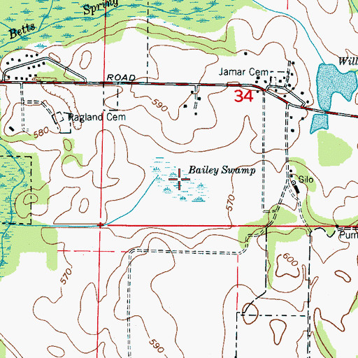 Topographic Map of Bailey Swamp, AL