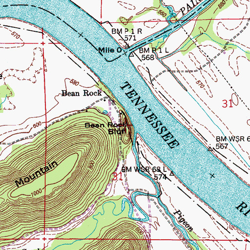 Topographic Map of Bean Rock Bluff, AL