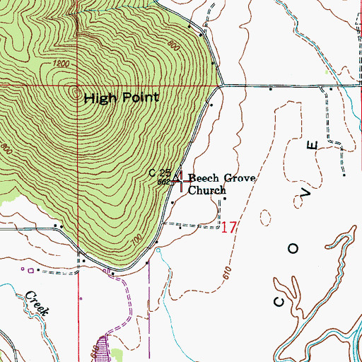 Topographic Map of Beech Grove Church, AL