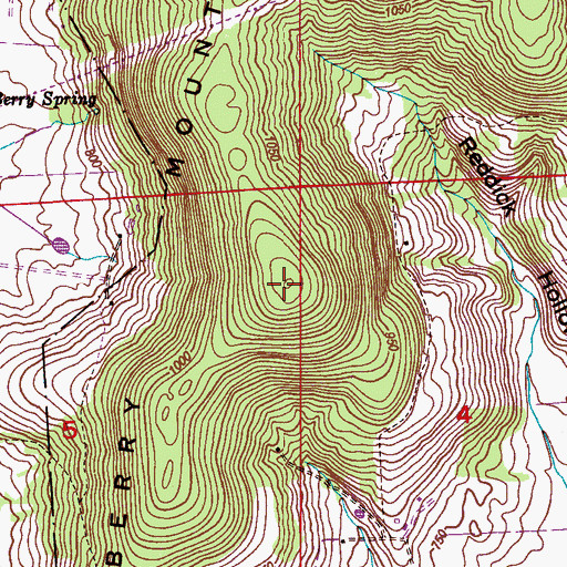 Topographic Map of Berry Mountain, AL