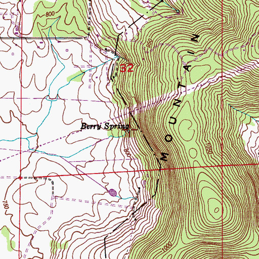 Topographic Map of Berry Spring, AL