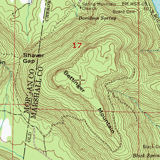 Topographic Map of Bettinger Mountain, AL
