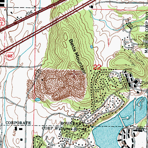 Topographic Map of Betts Mountain, AL