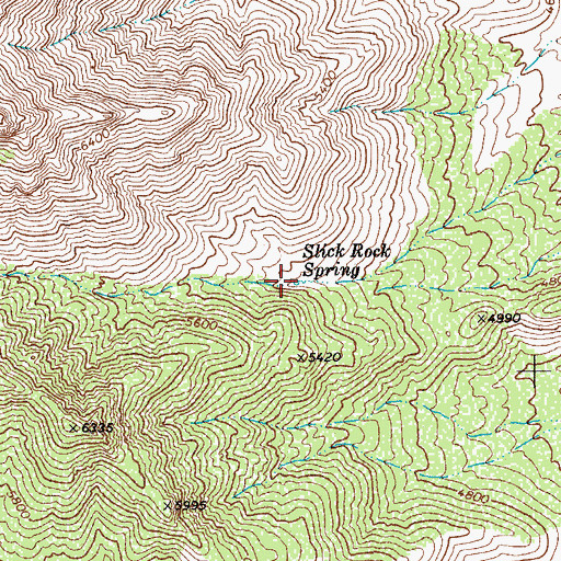 Topographic Map of Slick Rock Spring, AZ