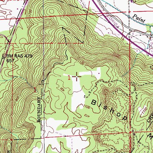 Topographic Map of Bishop Mountain, AL
