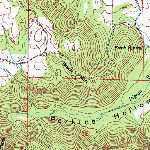 Topographic Map of Black Mountain, AL