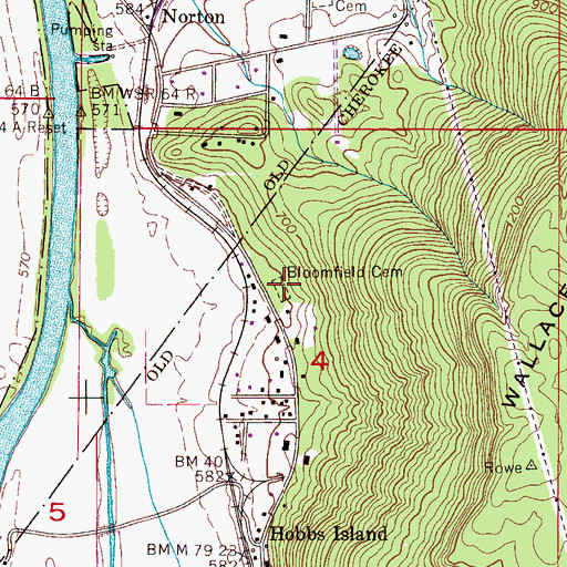 Topographic Map of Bloomfield Cemetery, AL