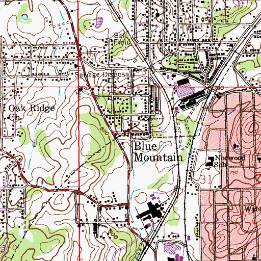 Topographic Map of Blue Mountain, AL